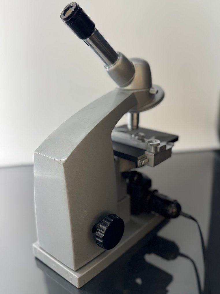 Binocular compound microscope - 349 413 - 1960-1970 - Itävalta - Reichert #2.1