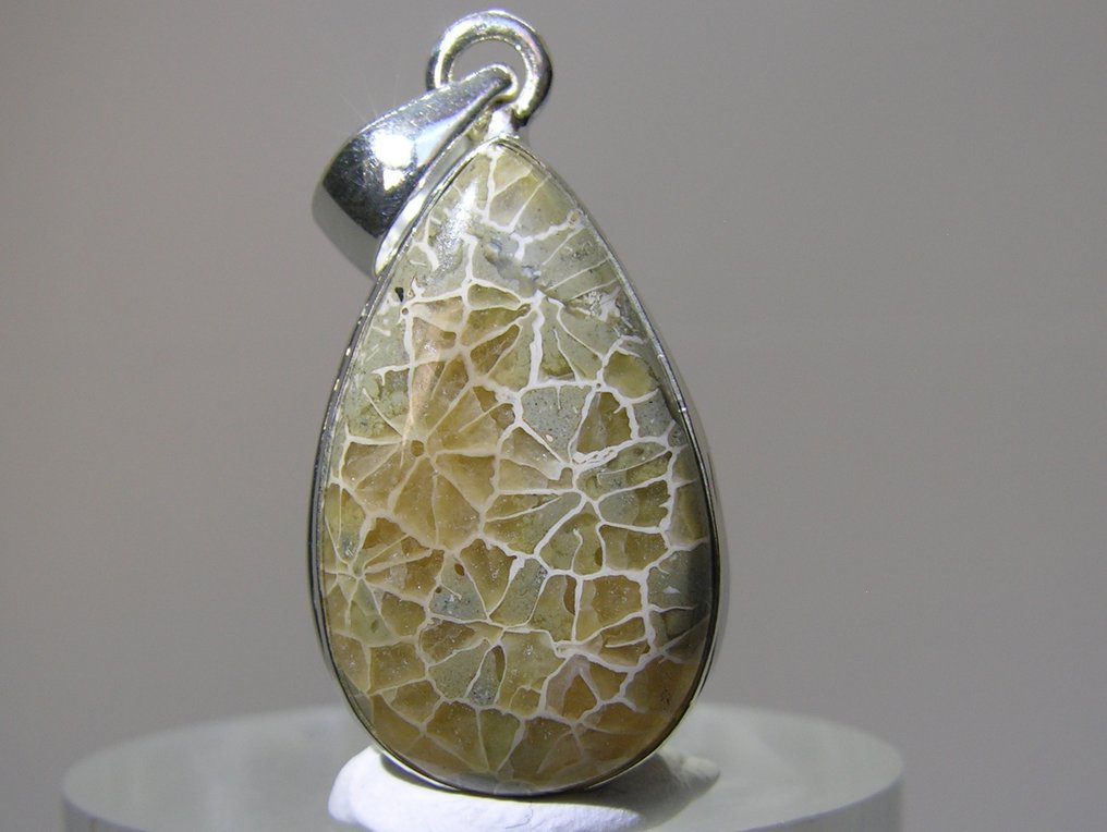 Dinosaur Bone Pendant - Height: 39 mm - Width: 16.8 mm- 4.4 g - (1) #1.0