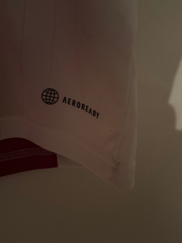 AFC Ajax - Wijndal - Football shirt #3.2