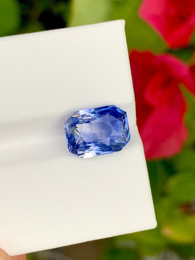 1 pcs Tvåfärgad Safir - 6.05 ct - Guild Gem Laboratory #4.3