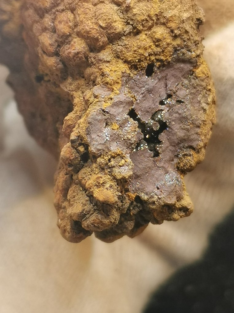 226 g XL 11,40 x 4,50 cm Fossiler Kot Coprolite fra Dinosaurier eller Wirbeltier Madagaskar - Fossilt fragment - Koprolith fossile Ausscheidung  (Ingen mindstepris) #1.0