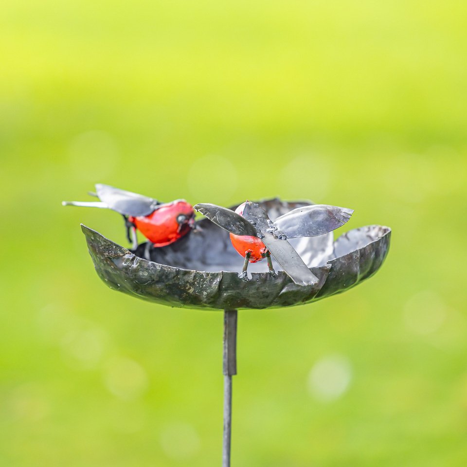 小雕像 - Roodborst drinkbak in hartvorm met twee roodborsten - 金屬 #2.1