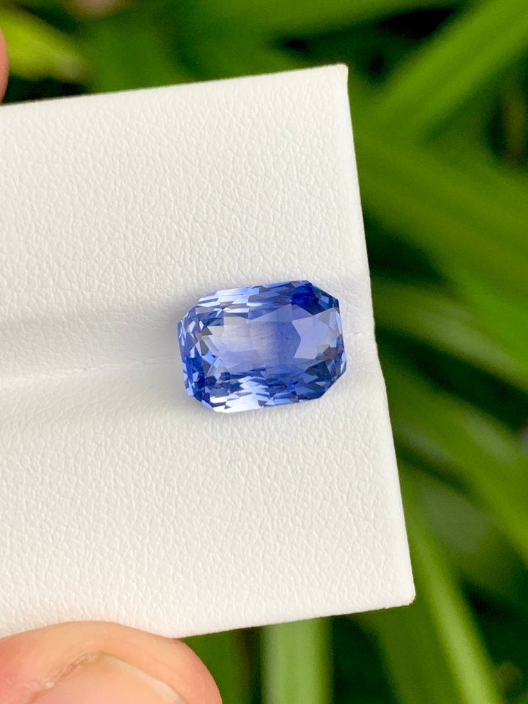 1 pcs Tvåfärgad Safir - 6.05 ct - Guild Gem Laboratory #1.0