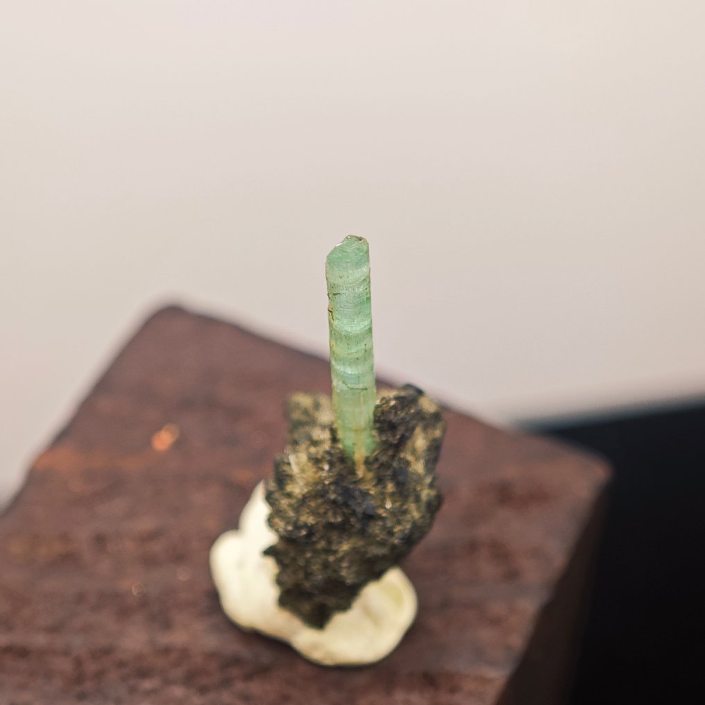 4,75 καρατίων TOP μακράς διάρκειας σμαράγδι. Κρύσταλλος πάνω σε Matrix!! - Ύψος: 24.8 mm - Πλάτος: 10.4 mm- 0.95 g #1.0