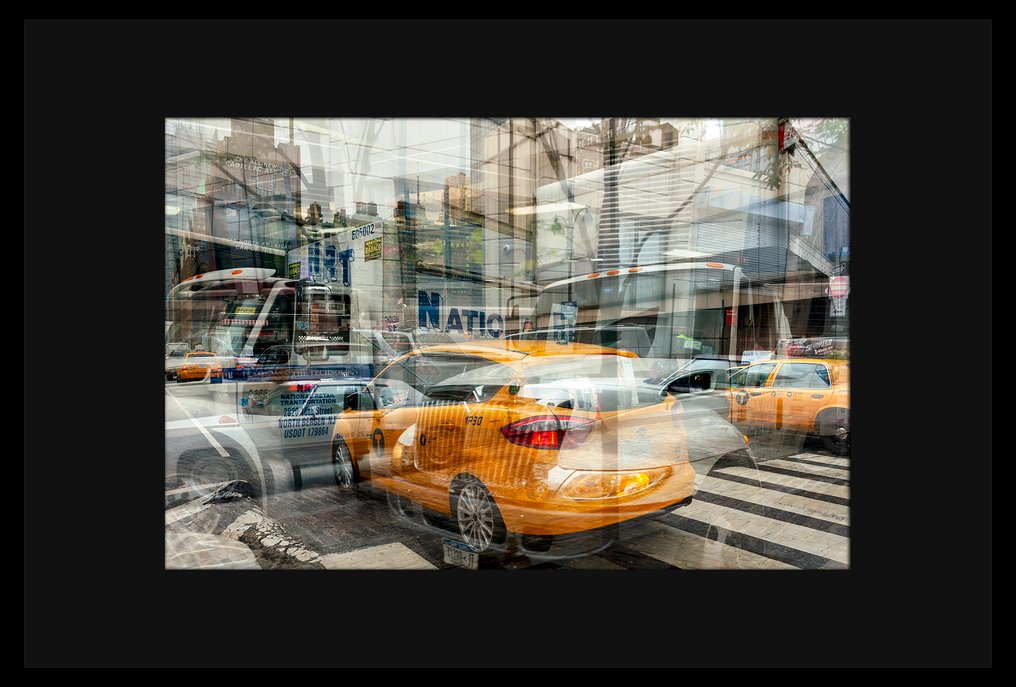 Roberto Cavalli (1971) - XXL - Visioni, In New York #973 #3.2