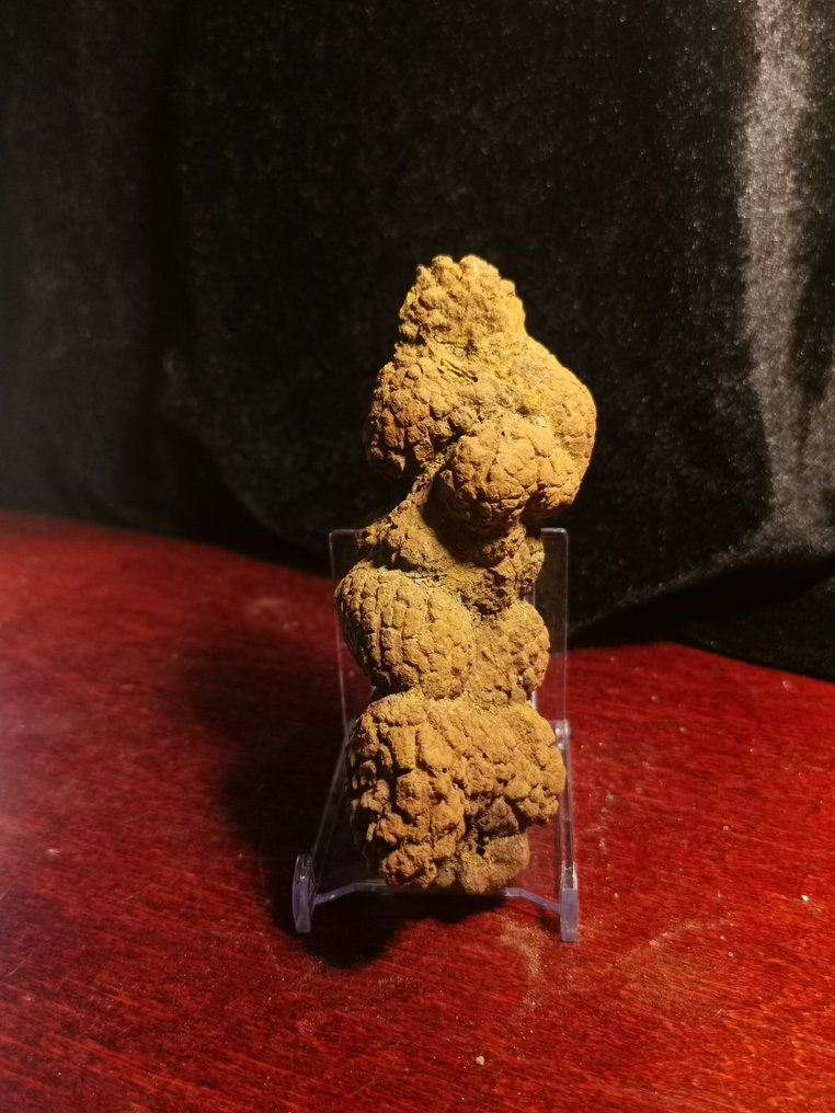 226 g XL 11,40 x 4,50 cm Fossiler Kot Coprolite fra Dinosaurier eller Wirbeltier Madagaskar - Fossilt fragment - Koprolith fossile Ausscheidung  (Ingen mindstepris) #2.1