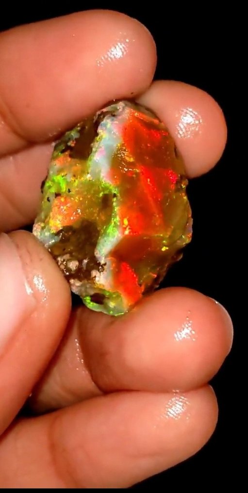 Opale En bruto de fuego multicolore 33,5 Ct- 6.7 g #1.0