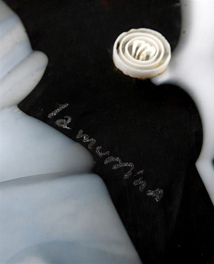 La Murrina - Ceiling lamp - Luci & Forme ceiling lamp in signed original Murano glass, 1970s - Glass #4.3