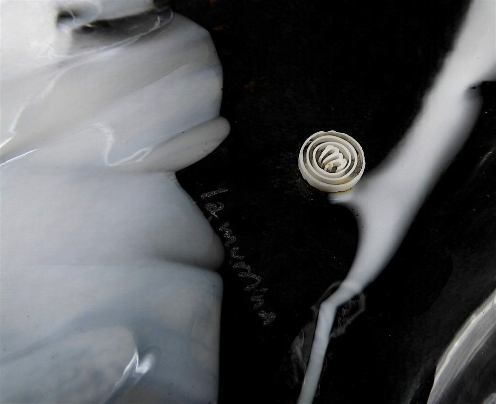 La Murrina - Ceiling lamp - Luci & Forme ceiling lamp in signed original Murano glass, 1970s - Glass #2.1