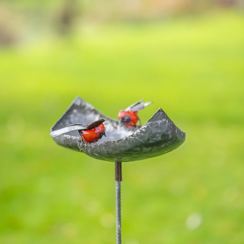 Γλυπτό, Dubbele drinkschaal met twee roodborsten - 140 mm - Χάλυβας #2.1