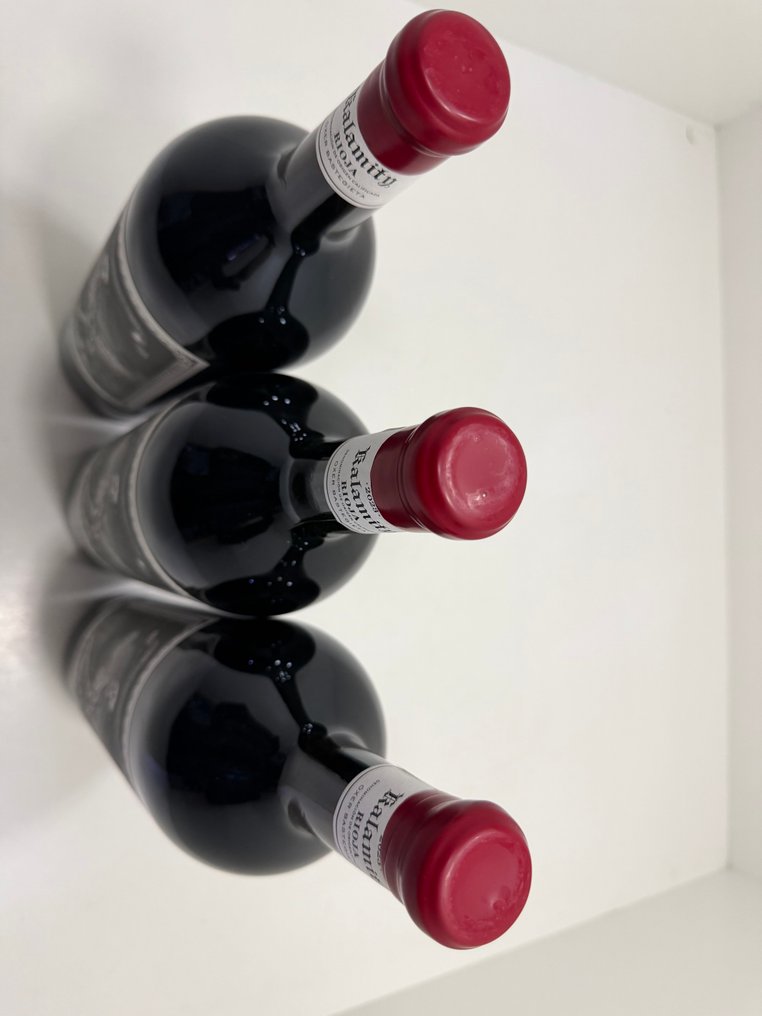 2023 Oxer Bastegieta, Kalamity Tinto - 拉里奧哈 DOC - 3 馬格南瓶 (1.5L) #3.2