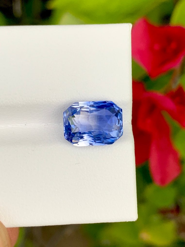 1 pcs Tvåfärgad Safir - 6.05 ct - Guild Gem Laboratory #2.1