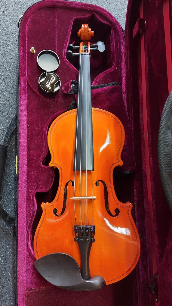 Herald - 3/4 jongvolwassen maat massieve viool Gold met oblong koffer en strijkstok -  - Violin #1.0