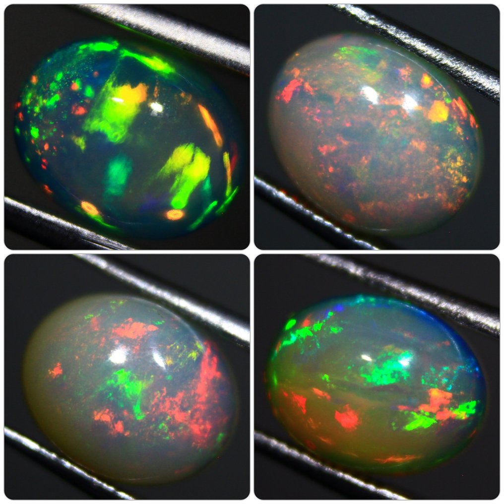 Ct. 7.10  天然埃塞俄比亚欧泊 弧面形 - 高度: 10 mm - 宽度: 8 mm- 1.42 g - (4) #1.0
