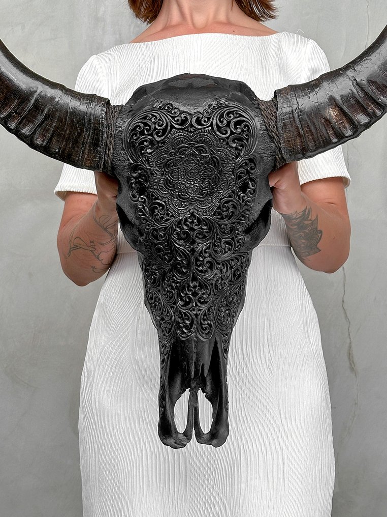 无底价 - C 大号黑色手工雕刻水牛头骨 - 花卉曼陀罗图案 雕刻的颅骨 - Bubalus Bubalis - 68 cm - 59 cm - 19 cm- 非《濒危物种公约》物种 -  (1) #1.0