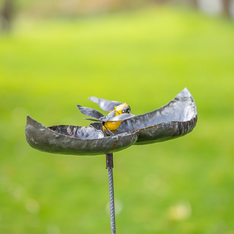 Γλυπτό, Dubbele drinkschaal met twee gele vogels - 140 mm - Χάλυβας #4.3