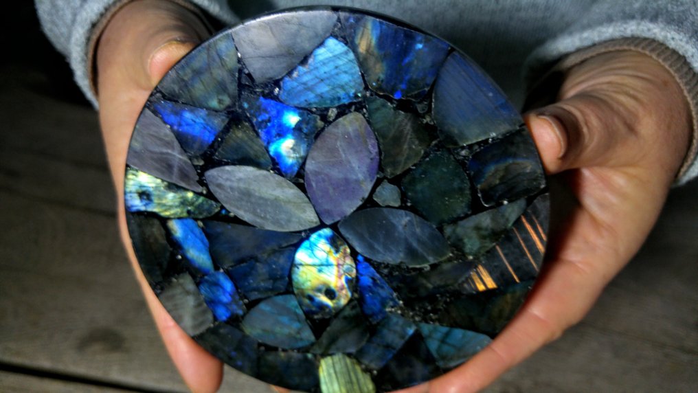 Labradorite - Gefossiliseerd dier - Disc - 13 cm - 13 cm  (Zonder Minimumprijs) #2.1