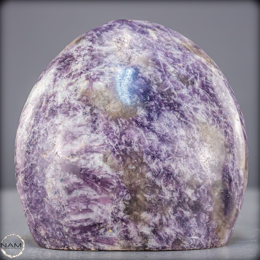 Rare Unicorn Stone 100% Natural Freiform- 1241.19 g #1.0