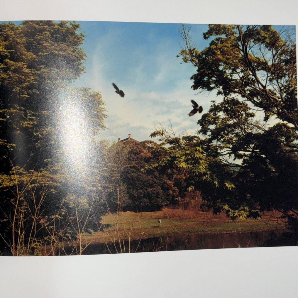 Koji Onaka - Koji Onaka “DRAGONFLY” – Signed First Edition (2007, Tosei-sha) - 2007 #3.2