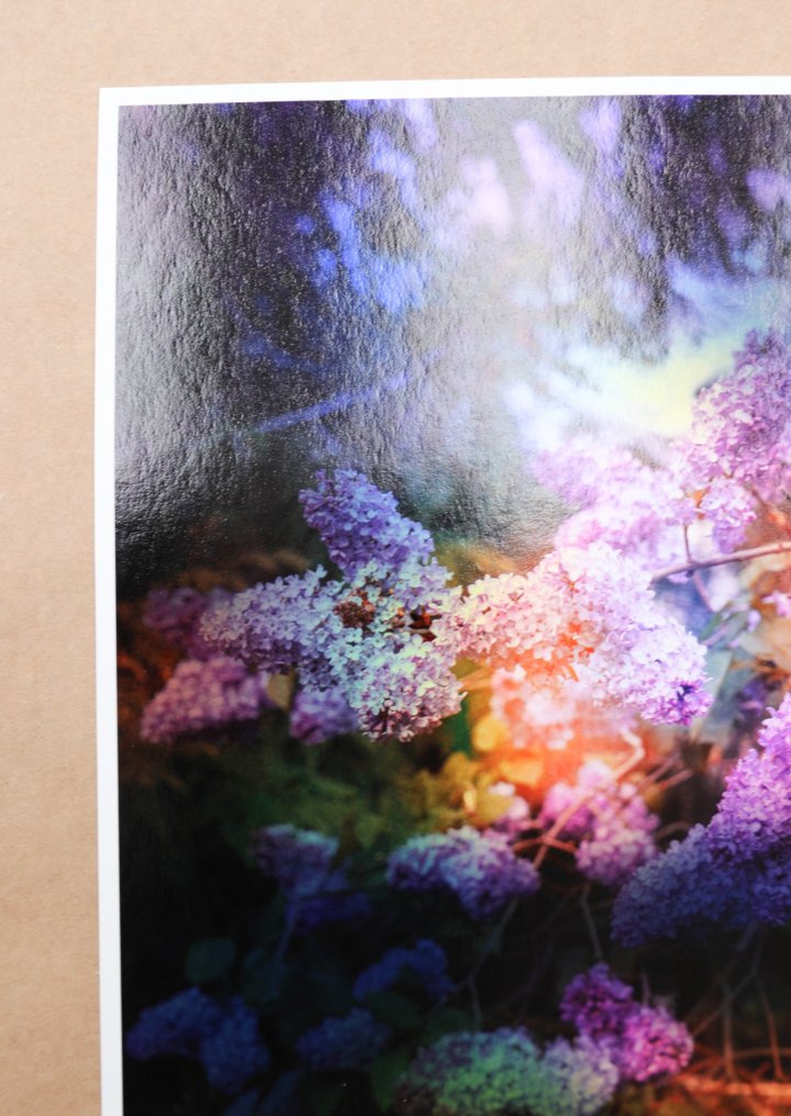 Viet Ha Tran - Like a dream #4.3