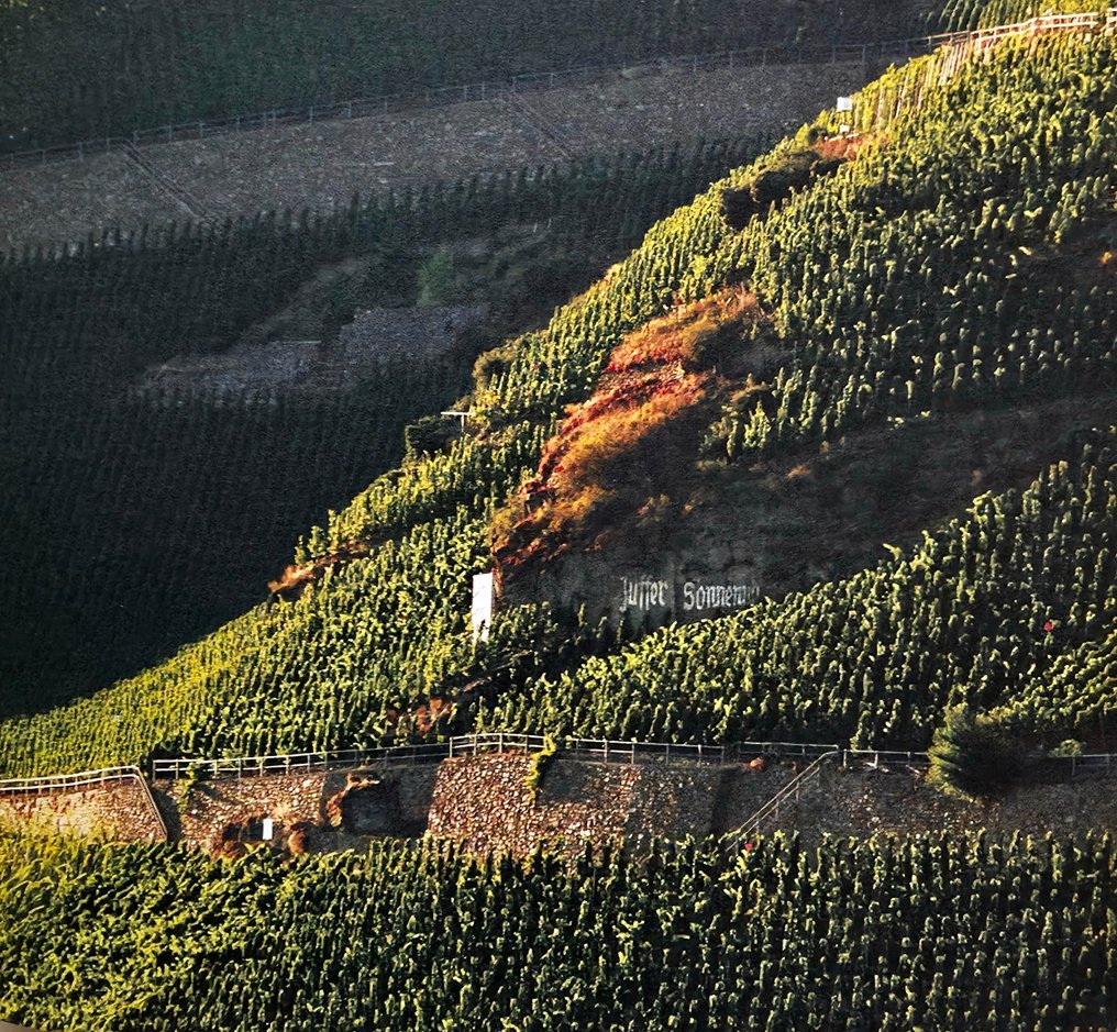 2006 Fritz Haag, Riesling Trocken - Mosel - 2 Bottles (0.75L) #1.0