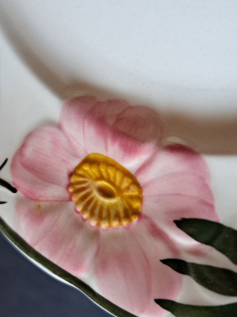 德国唯宝 - 早餐盘 (6) - Wild-Rose - Vitro-Porzellan - 非常好的状态 #4.3