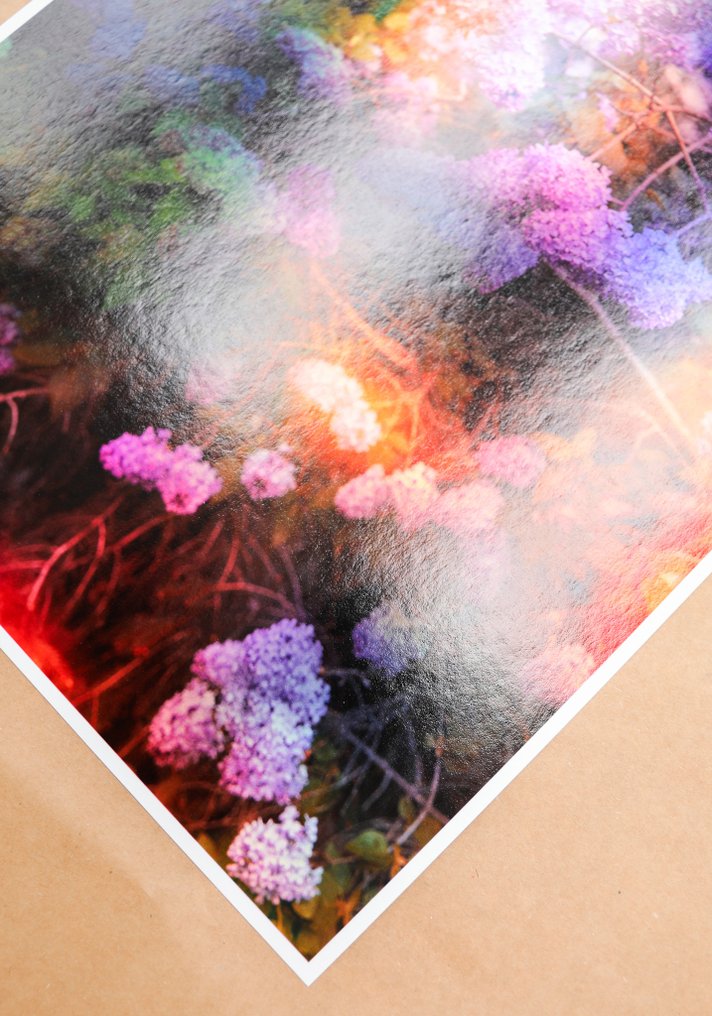 Viet Ha Tran - Like a dream #3.2