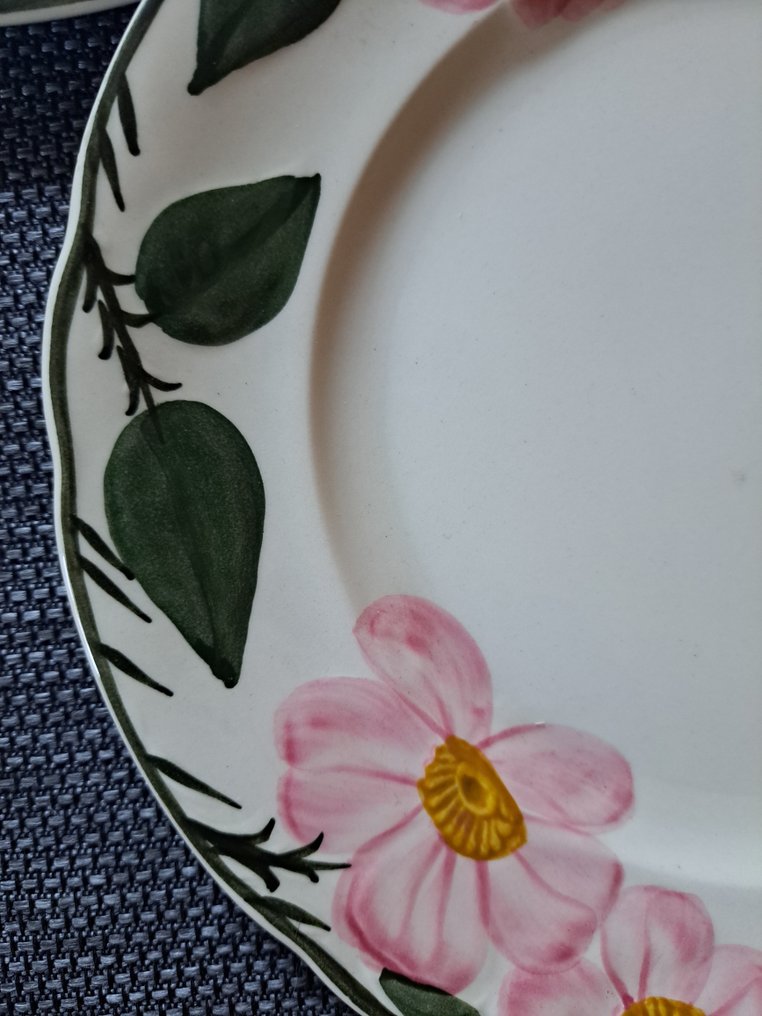德国唯宝 - 早餐盘 (6) - Wild-Rose - Vitro-Porzellan - 非常好的状态 #2.1