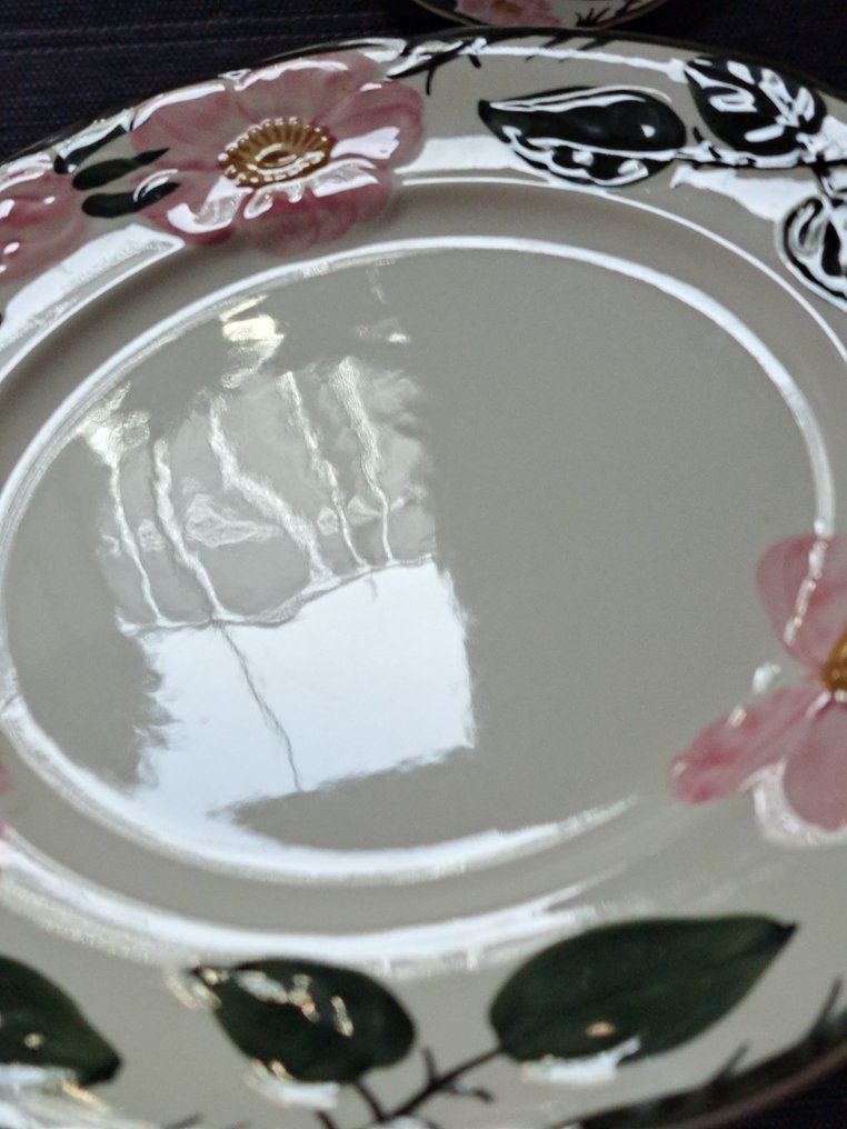 德国唯宝 - 早餐盘 (6) - Wild-Rose - Vitro-Porzellan - 非常好的状态 #3.2