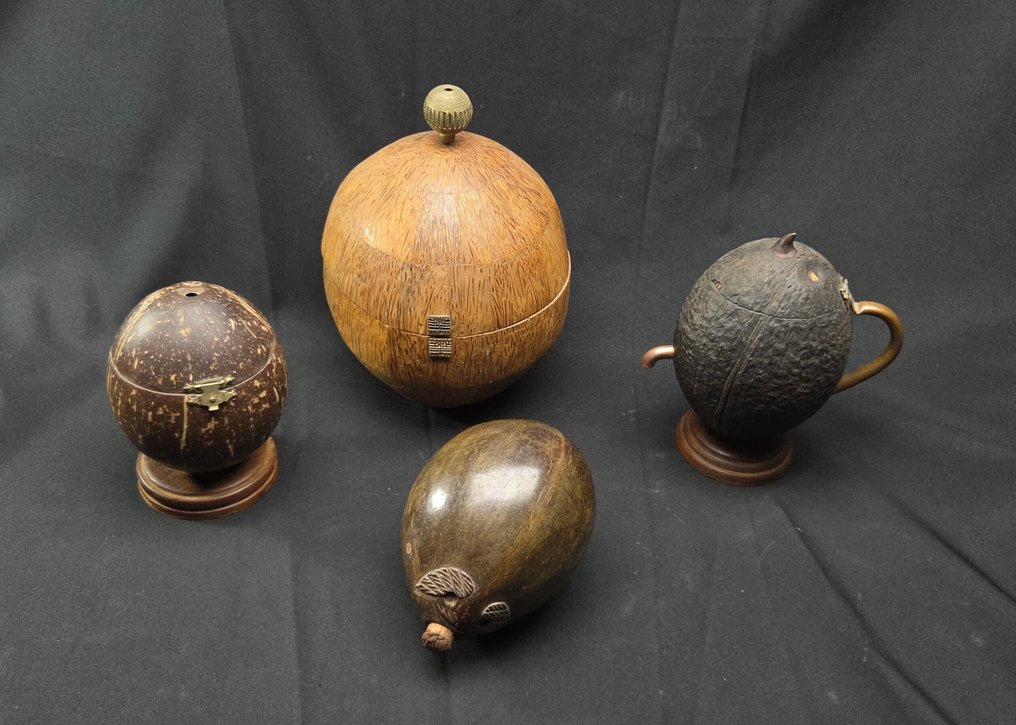 Curiosty cabinet - beautiful collection of transformed Coconuts -Folk Art from around the world  - Dioráma #2.1