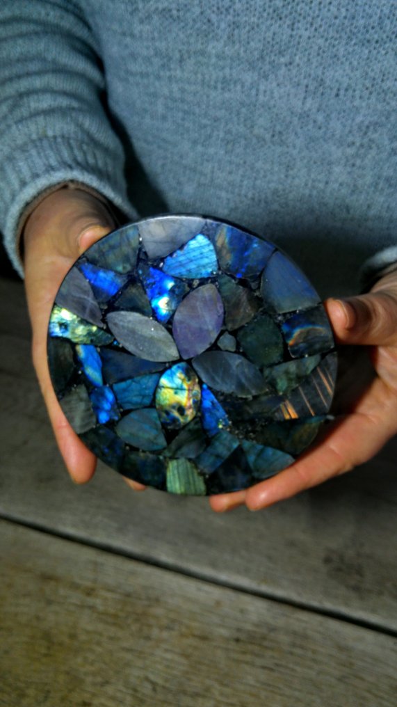 Labradorite - Gefossiliseerd dier - Disc - 13 cm - 13 cm  (Zonder Minimumprijs) #1.0