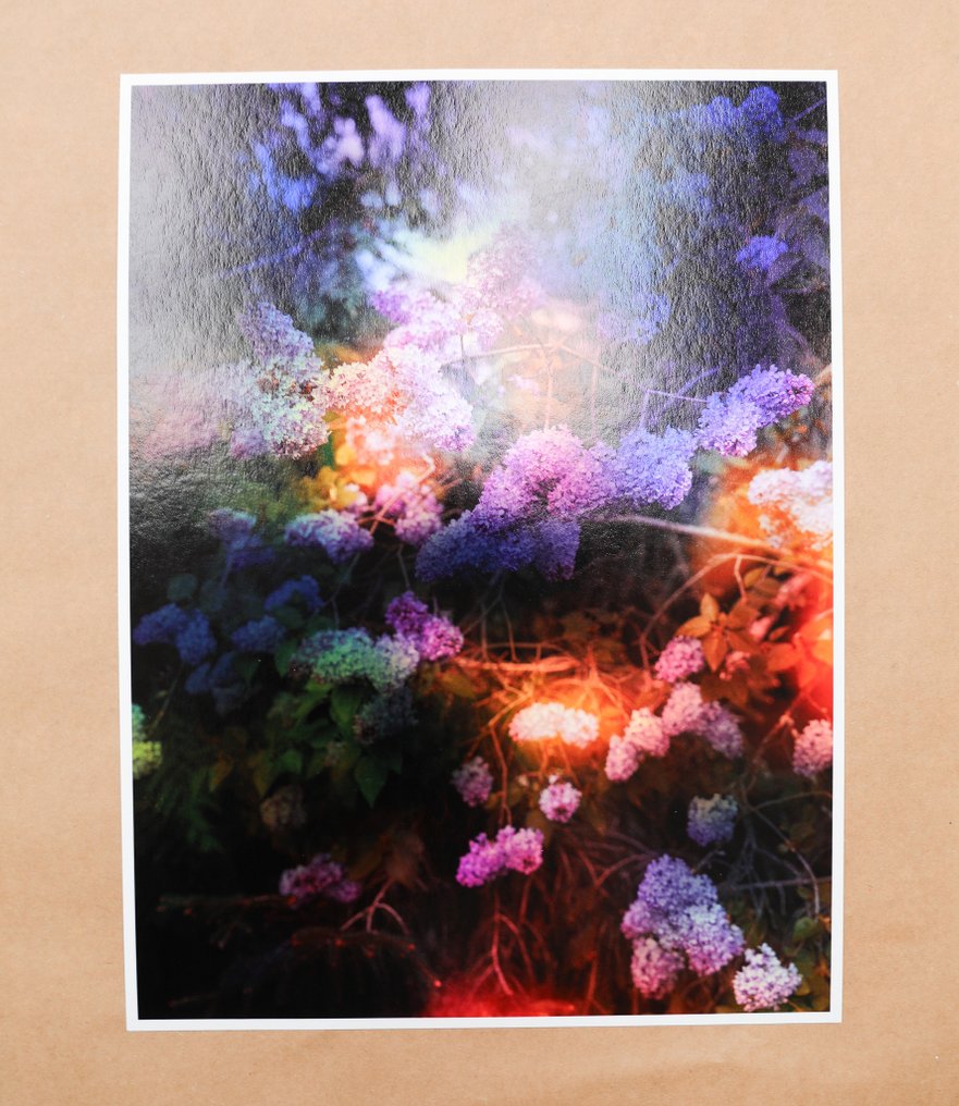 Viet Ha Tran - Like a dream #2.1