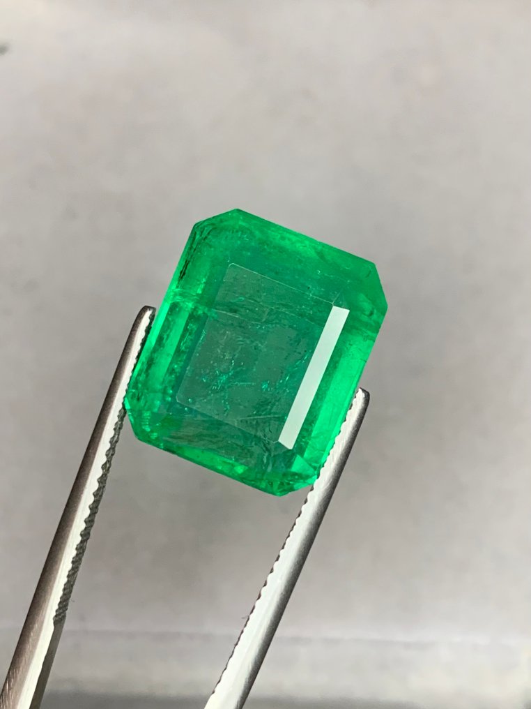 绿色 祖母绿 - 14.95 ct - 美国吉尔德宝石实验室 - 鲜绿色祖母绿 #1.0