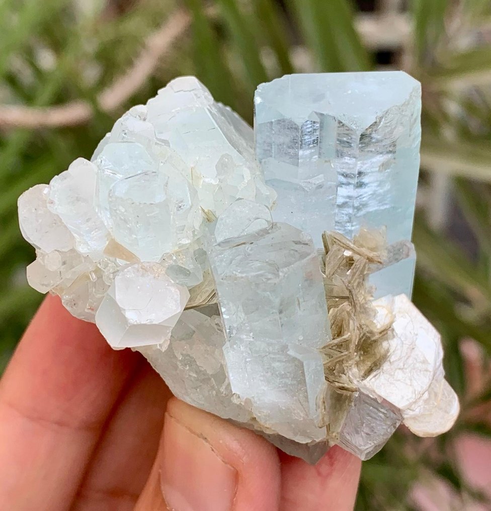 Aquamarine Crystals Bunch with Mica Mineral Collection - Height: 48 mm - Width: 41 mm- 73 g - (1) #1.0