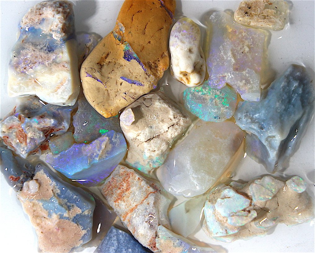 66.0 carats Australian Rough Opal Rough- 13.2 g #1.0