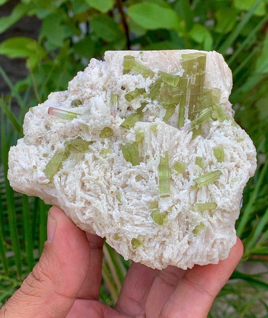 Rosa naturale cap Tourmaline e gruppo di cristalli di tourmaline verdi su matrice Collezione di minerali - Altezza: 92 mm - Larghezza: 78 mm- 536 g - (1) #2.1