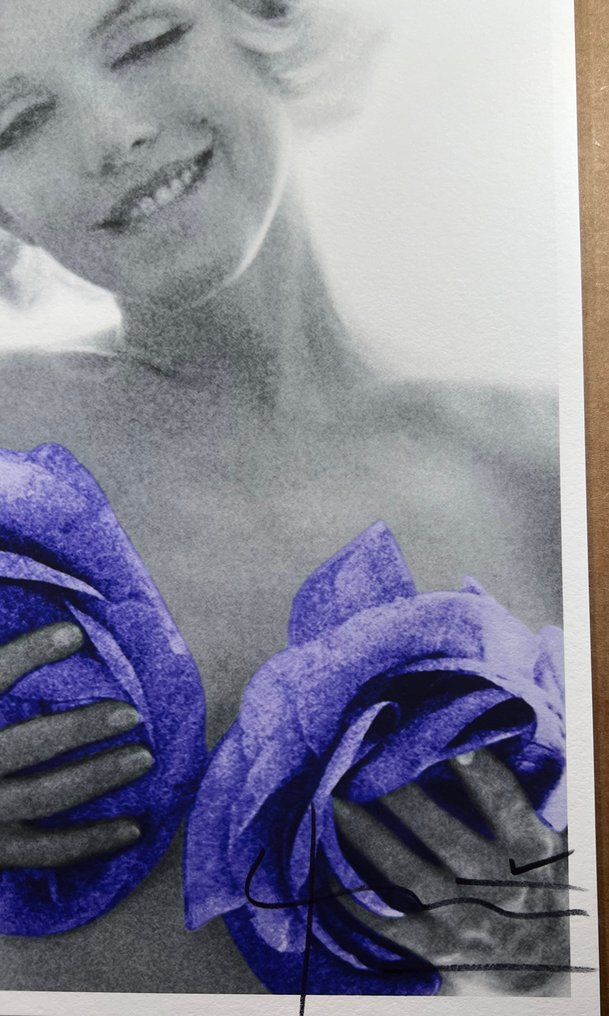 Bert Stern (1929–2013) - Marilyn Monroe Purple Wink Roses Artist proof test #2.1