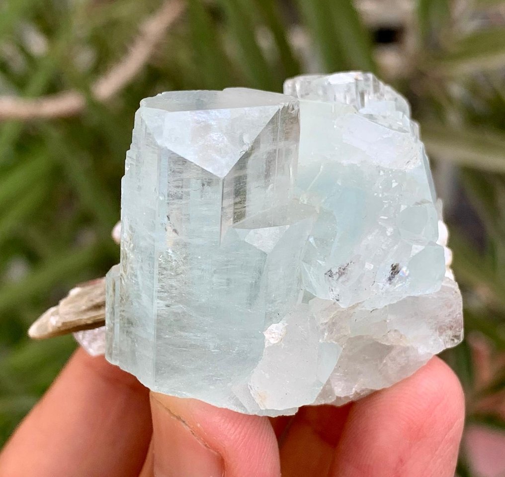 Aquamarine Crystals Bunch with Mica Mineral Collection - Height: 48 mm - Width: 41 mm- 73 g - (1) #4.3