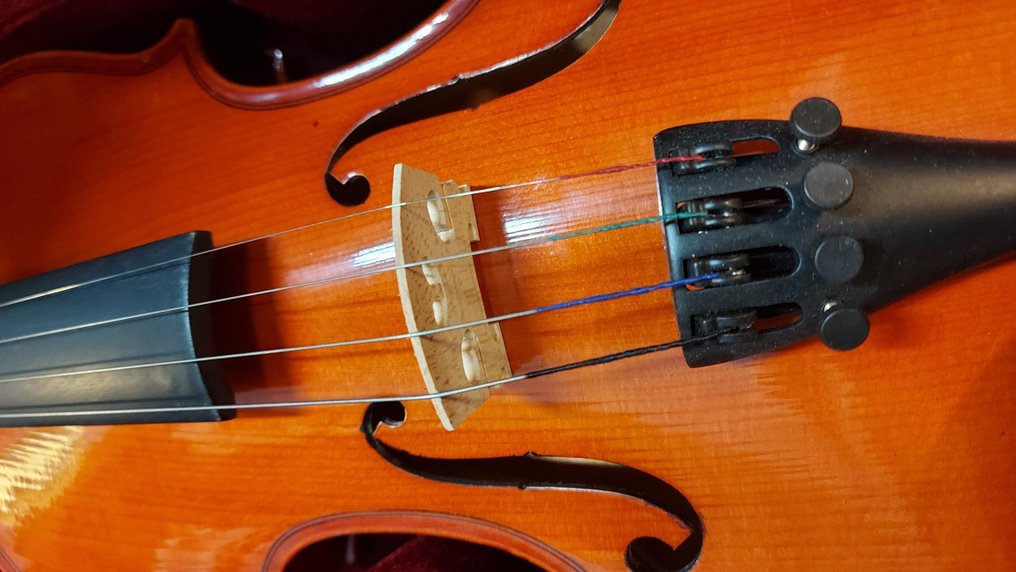 Unknown - Studieviool 1/2 maat, compleet met koffer, strijkstok, schoudersteun en hars - - Violino #3.2