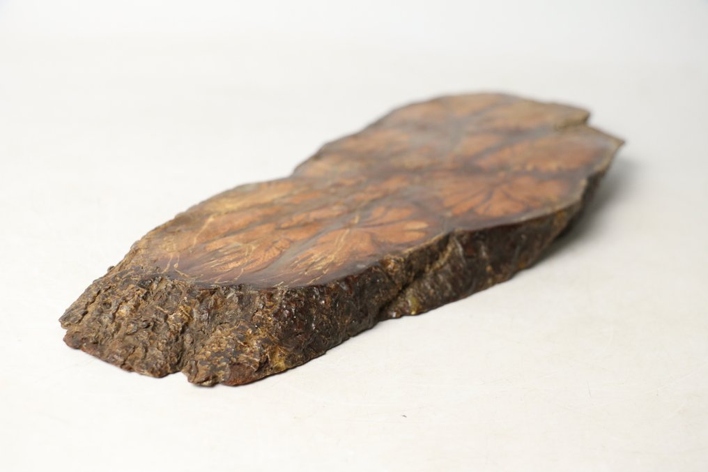 όμορφα χειροποίητο ξύλινο σταντ λουλουδιών (花台) - Ξύλο - Ιαπωνία - 1900-2000 #1.0