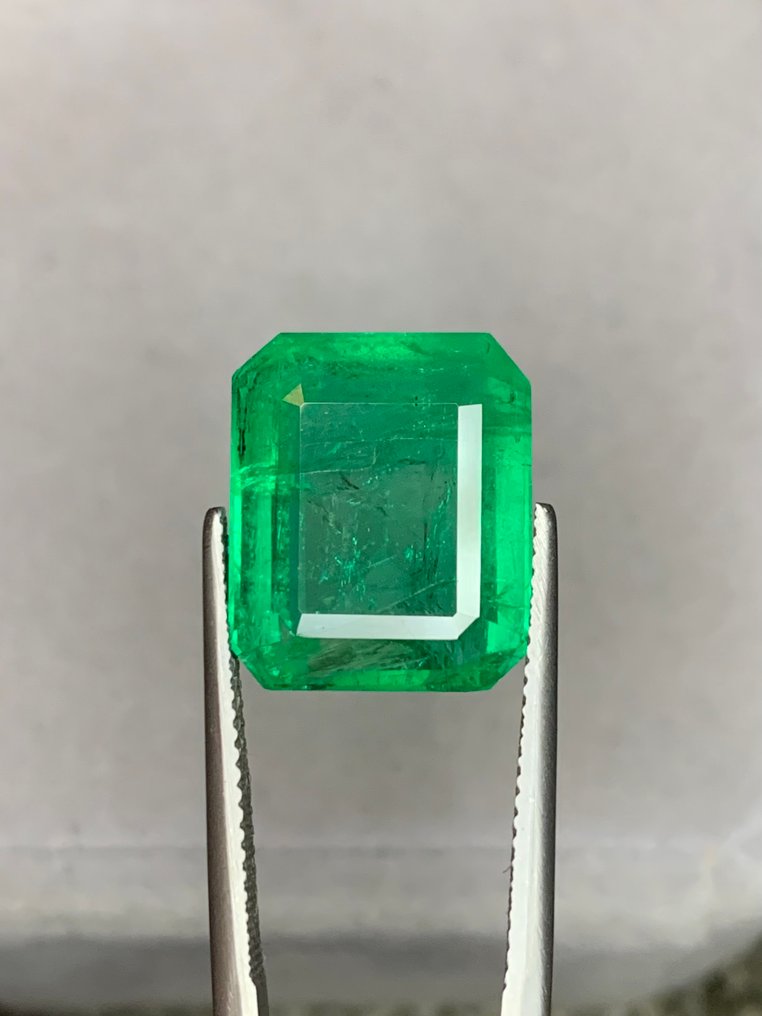 绿色 祖母绿 - 14.95 ct - 美国吉尔德宝石实验室 - 鲜绿色祖母绿 #1.0