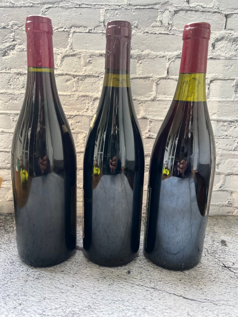 2003 Francois Fluchot, Gevrey-Chambertin "Les Seuvrées", 1986 Gevrey Chambertin 1° Cru "Les Corbeaux" - Gevery-Chambertin & 1993 Prunier Auxey Duresses 1° Cru "Les Duresses" - 3 Φιάλη (0,75L) #2.1