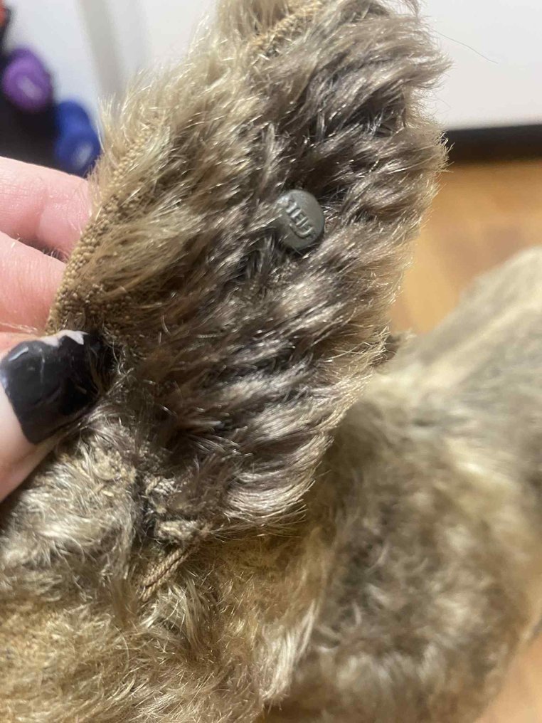 Steiff - Pluszowa zabawka Vorkriegs Hund auf Rollen (langgezognes F) & drei alte Steiff Handpuppen - 1920-1930 - Niemcy #4.3