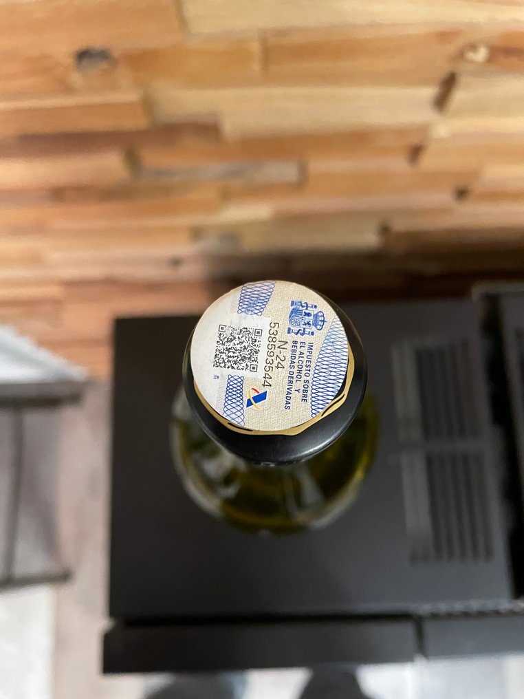 Chartreuse - Tau Tarragona - Jaune/Yellow   - b. 2025  - 70厘升 #3.2