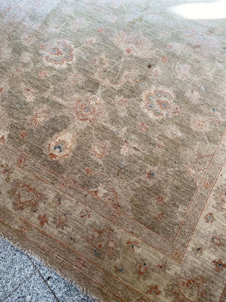 Ziegler - Szőnyeg - 250 cm - 170 cm #1.0