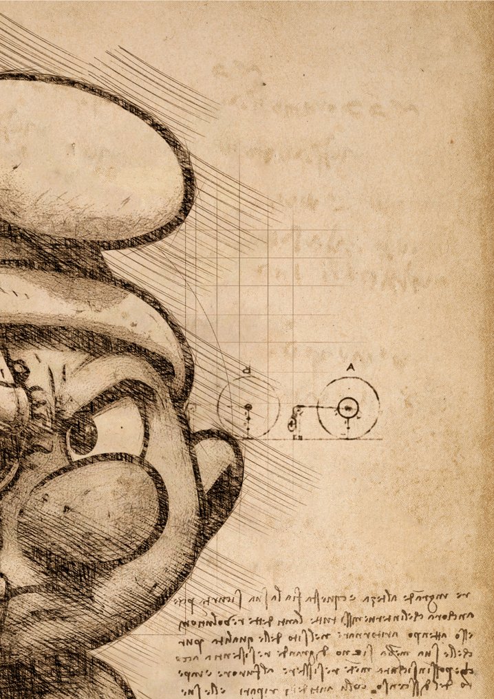 Boriani - Schtroumpf - Da Vinci Series - limited edition 1/25 #2.1