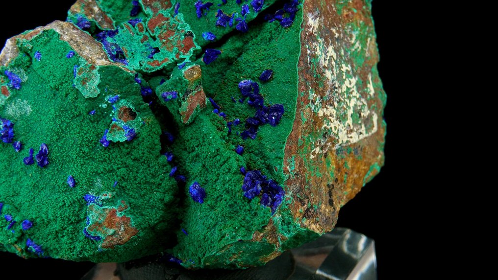 Αζουρίτης σε Μάλαχιτ - Μεταλλείο Czar, Μεταλλείο Copper Queen, Bisbee, Αριζόνα, Ηνωμένες Πολιτείες - Ύψος: 7.3 cm - Πλάτος: 5 cm- 104 g #1.0