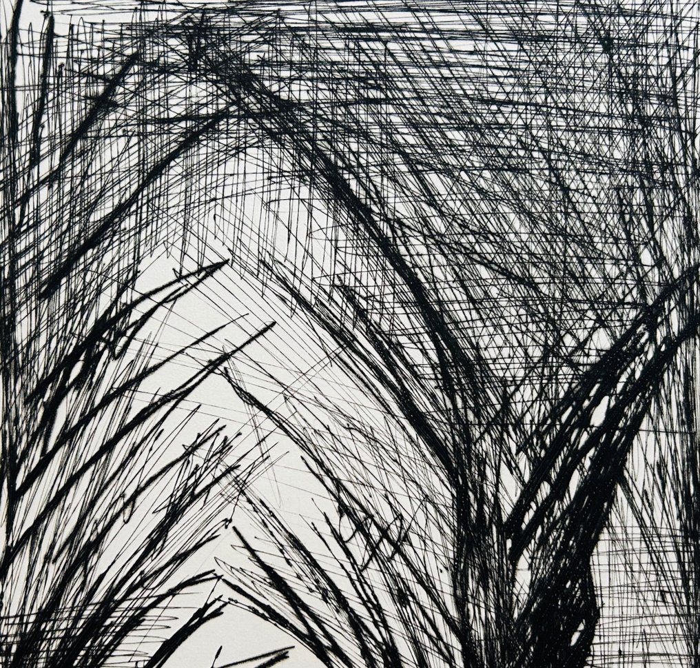 Bernard Buffet (1928-1999) - L'étang - Pointe-sèche originale signée #2.1