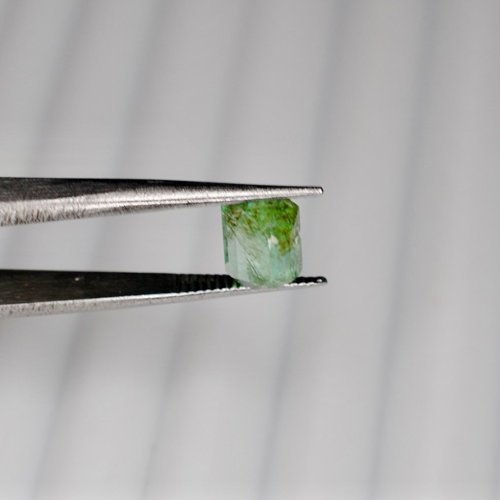 Zonder Minimumprijs Groen Smaragd  - 1.35 ct - International Gemological Institute (IGI) - Colombia #2.1
