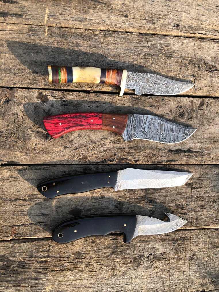 Coltello da cucina - Coltelli Prestigiosi fatti a mano Skinners, acciaio forgiato, corno di cervo, legno e impugnature - Nord America - Custodia in cuoio A14 #1.0